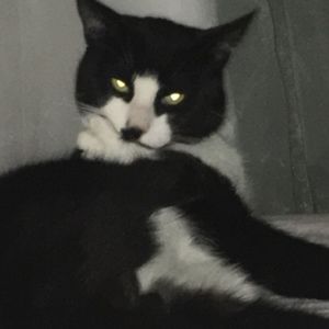 Meet your Posher, Maddie